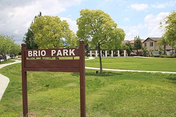 Brio Park